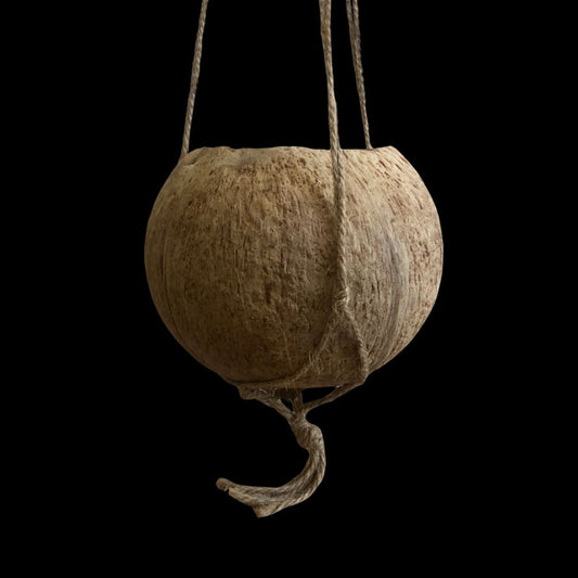 Artistry Collection: Coconut Baskets Gifts La Foresta Orchids