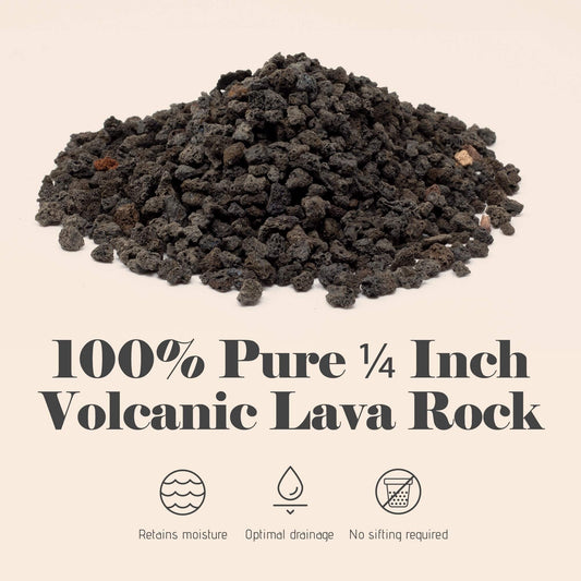 Black 1/4 inch Horticultural Lava Rock Soil Additive for Cacti, Succulents and Plants - No Dyes or Chemicals - 100% Pure Volcanic Rock (2 Dry Quarts) Orchid Potting Mix Amazon