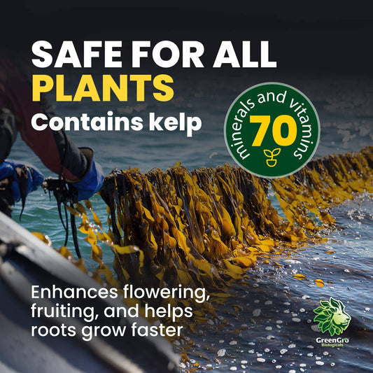 GreenGro Granular Plus Myco, All-in-One Fertilizer with Kelp and Humic Acid for Plants, Organic Root Stimulator Plant Food with Mycorrhizae for Indoor & Outdoor Gardens Fertilizer Amazon