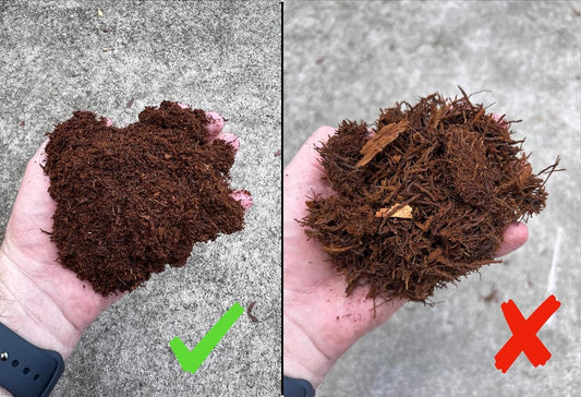 Premium New Zealand Tree Fern Fiber (Debris Free) Growing Medium and Reptile Substrate- Natural, Organic, Long Lasting | for Orchids and Tropicals | Use in Terrariums and Vivariums (1 Gallon) Orchid Potting Mix Amazon