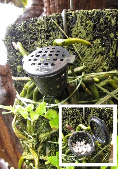 Fertilizer Osmocote Baskets osmocote baskets La Foresta Orchids