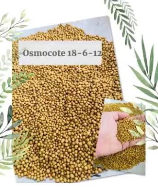 Fertilizer Osmocote Baskets osmocote baskets La Foresta Orchids