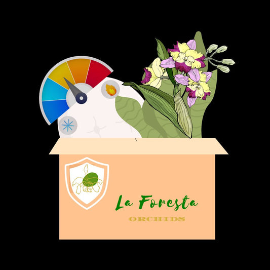 Hot Weather Orchids Protection Plan - Add On Services Summer Protection Plan La Foresta Orchids Cold Pack + Stabilizer + Insulated Thermal Liner