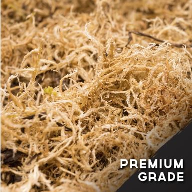 New Zealand Long Fiber Sphagnum Moss Orchid Potting Mix La Foresta Orchids