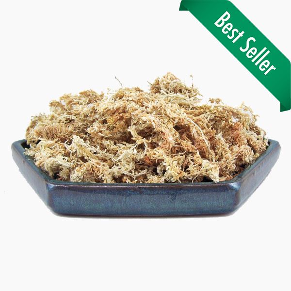 B/A Sphagnum Moss for Orchids - Green Dry Sphagnum Moss, Dried Water Moss