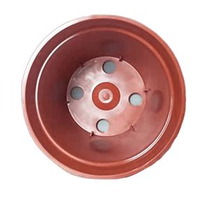 Nursery Pots 2.5", 3.3", 4", 5" and 6" Pots La Foresta Orchids 2.5" - Set of 10