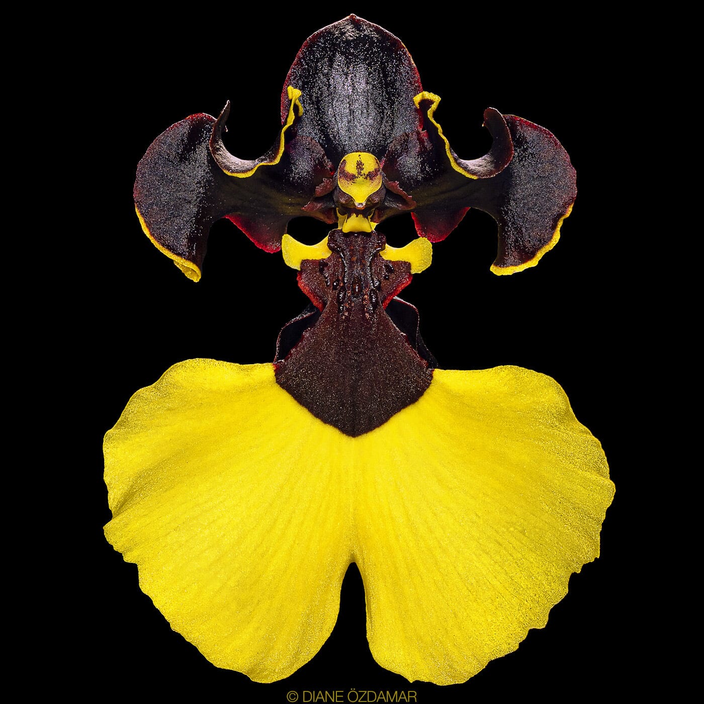 Android uchun erotik dasturlar Yalangoch ayollarning havaskor fotosuratlari