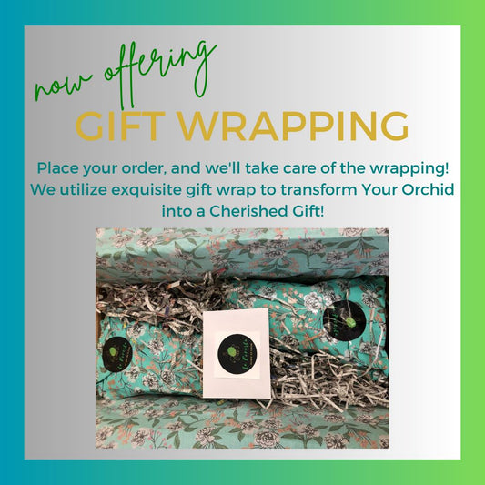 Orchid's Lover Gift Wrapping Services Gifts La Foresta Orchids