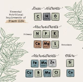 Orchids Nutrients MEGA Care Kit Fertilizer Bundle La Foresta Orchids