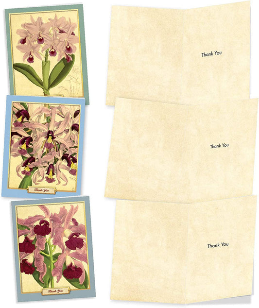 Vintage Orchid Note Card - Say Thank You Gifts La Foresta Orchids