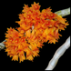 Product image thumbnail 1