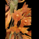 Product image thumbnail 3