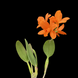 Product image thumbnail 4