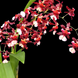 Product image thumbnail 3