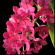Product image thumbnail 3