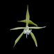 Product image thumbnail 6