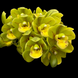 Product image thumbnail 1