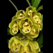 Product image thumbnail 3