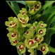 Product image thumbnail 4