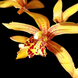 Product image thumbnail 2