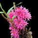 Product image thumbnail 4