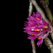 Product image thumbnail 3
