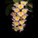 Product image thumbnail 2
