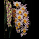 Product image thumbnail 5