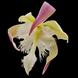 Product image thumbnail 3