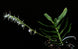 Product image thumbnail 5