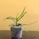 Product image thumbnail 9