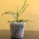 Product image thumbnail 7