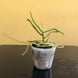 Product image thumbnail 4