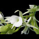Product image thumbnail 1