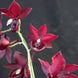 Product image thumbnail 4