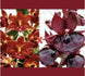 Product image thumbnail 3