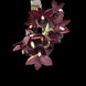 Product image thumbnail 1