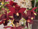 Product image thumbnail 6