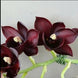 Product image thumbnail 5