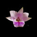 Product image thumbnail 3