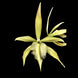 Product image thumbnail 6