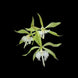 Product image thumbnail 5