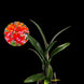 Product image thumbnail 2