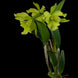 Product image thumbnail 5