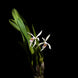 Product image thumbnail 3