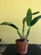 Product image thumbnail 5