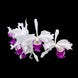 Product image thumbnail 3