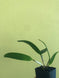Product image thumbnail 3