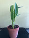 Product image thumbnail 10