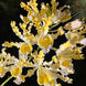 Product image thumbnail 5